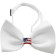 American Flag Chipper Pet Bow Tie