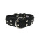 Athens Dog Collars - Black 1.5" Wide