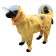 Rainy Dog Raincoat